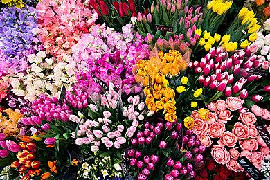 机甲动作游戏Project Six正式命名为OMEGA PHENEX