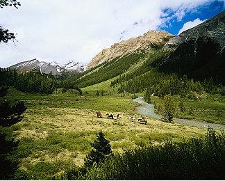 《荒野大镖客2》在今天4岁了