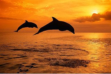 《ENDLOOP》登陆Steam 破解循环恐怖探索